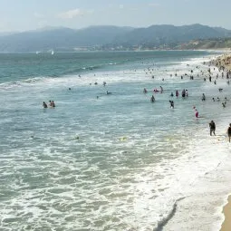 Santa Monica State Beach