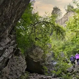 Niagara Glen Nature Centre