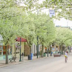 Downtown Traverse City