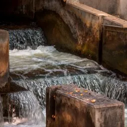 Fish Ladder Park