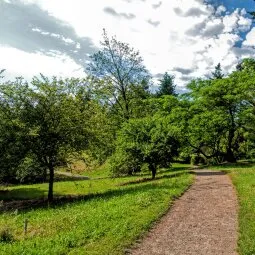 Hoyt Arboretum