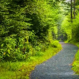 Limberlost Trail