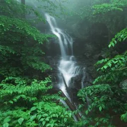 Doyles River Falls