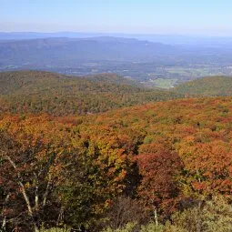 Sugarloaf Loop