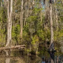 First Landing State Park