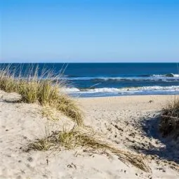 Sandbridge Beach