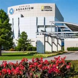 Virginia Aquarium & Marine Science Center