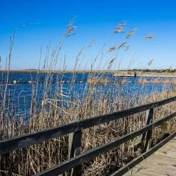 Back Bay National Wildlife Refuge