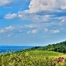 Carter Mountain Orchard