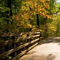 The Saunders-Monticello Trail