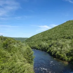 Lehigh Gorge State Park