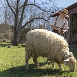 Quiet Valley Living Historical Farm