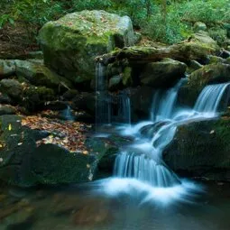 Roaring Fork Motor Nature Trail