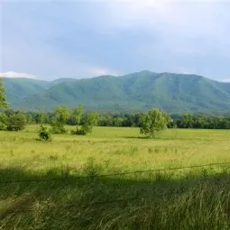 Cades Cove