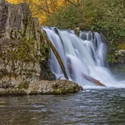 Abrams Falls Trail