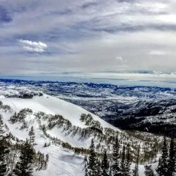 Brighton Resort