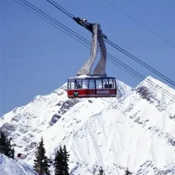 Snowbird Ski & Summer Resort