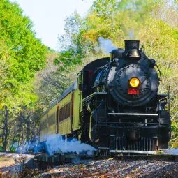 Tennessee Valley Railroad Museum