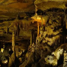 Raccoon Mountain Caverns