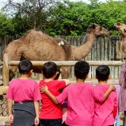 Chattanooga Zoo