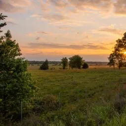 Shelby Farms Park