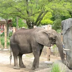 Cleveland Metroparks Zoo