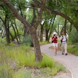 Walk along the Paseo del Bosque Trail