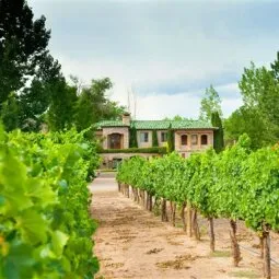 Go for a tasting at Casa Rondena Winery