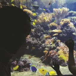 National Aquarium in Baltimore