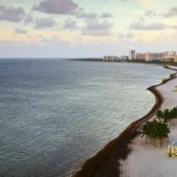 Crandon Park