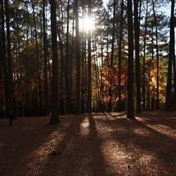 William B. Umstead State Park