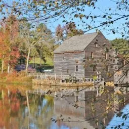 Historic Yates Mill County Park