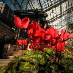 Lauritzen Gardens - Omaha's Botanical Center