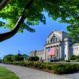 Saint Louis Art Museum