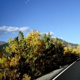 Trail Ridge Road