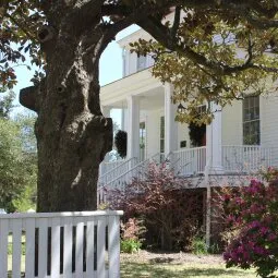 Poplar Grove Plantation