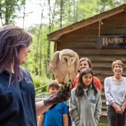 Carolina Raptor Center