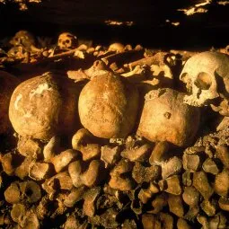 Paris Catacombs (Les Catacombes de Paris)