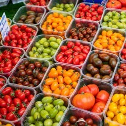 Mercato di Testaccio