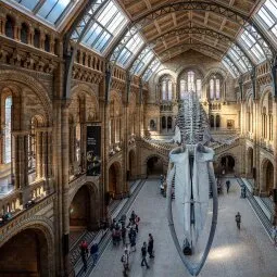 Natural History Museum