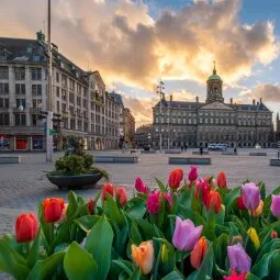 Dam Square