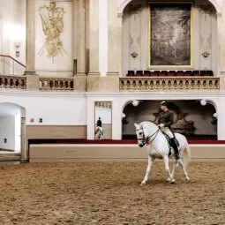 Spanish Riding School