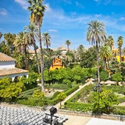 Royal Alcázar of Seville