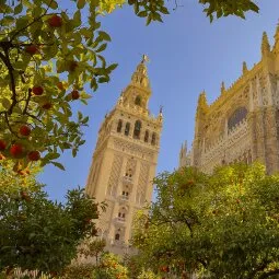 Catedral de Sevilla and La Giralda (Seville Cathedral)