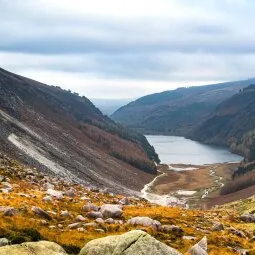 Wicklow Mountains National Park