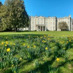 Farmleigh House & Estate