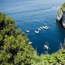 Blue Grotto / Boat Tours