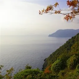 Footpath Monterosso