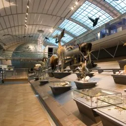 Museum of Natural Sciences