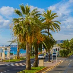 Promenade des Anglais (English Walk)